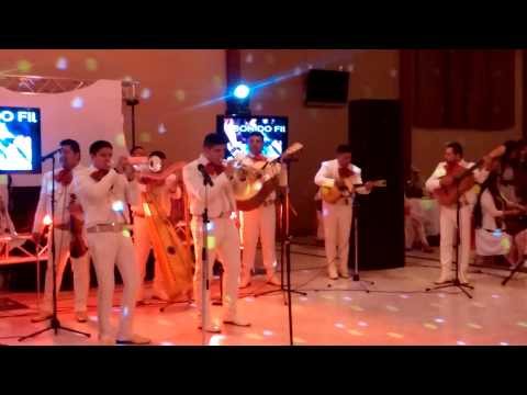 Mariachi mi Tierra Linda - El Cascabel