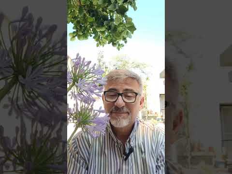 Evangelio del día Fabian Esteban Oliva #reddeevangelizacion