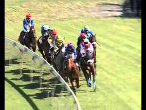 Season 2012 - Meeting 9 - Race 2 - Lividus - Odendaal - iDates.mu - Turf Mauritius