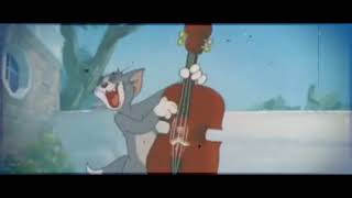 Asli hip hop official video song | gully boy | ranveer sing | alia bhat