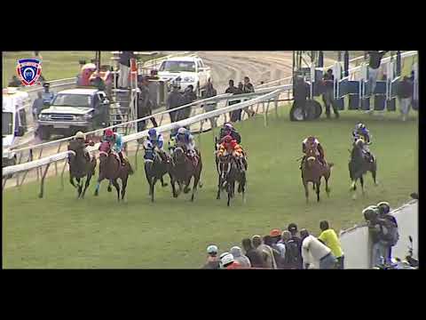 RM12 R7 | Consul Of War | K.Zechner