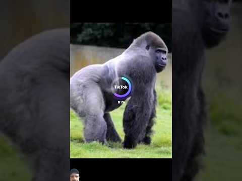 ISSEI funny video 😂😂😂 AI manga x Time warp scan #shorts