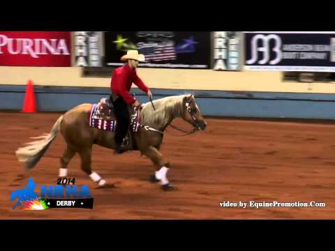 Custom Smart Juice ridden by Barak Gibori - 2014 NRHA Derby(Open Derby Finals)