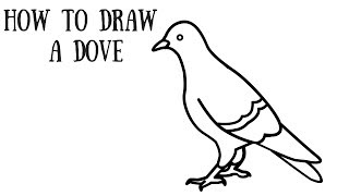 How to draw a Dove Easy Step by Step for Kids