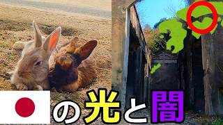 【地図から消された島】瀬戸内海に浮かぶうさぎの楽園に行ってきた。しかしそこには日本の暗い過去があった【大久野島】