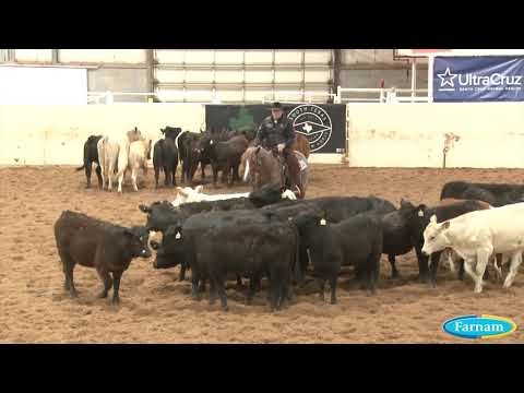 210428 Open Derby Herd Jay McLaughlin on Tee Boone