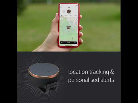 The Vodafone Curve for Pets - the Ultimate Pet Tracker logo
