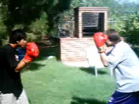 bruce lee vs matt hughes