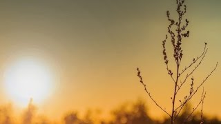 Summer of 42 - Michel Legrand