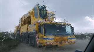 I love cranes even if...