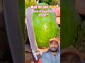 Laughing To Older Yaya So Fun Shorts Trendingshorts Viralshort