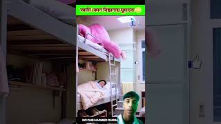 Download lagu Which bed will I sleep in?😳 #funny #comedy #facts #cartoon #funnypets #shorts #trendingshorts mp3