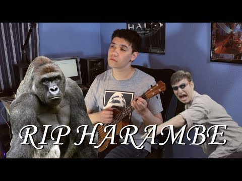 RIP HARAMBE SONG (A True Friend) - FilthyFrank (Joji) ROCK GUITAR COVER || MaximumGuitar
