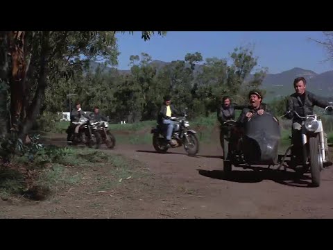 Louis Prima - Five Months, Two Weeks, Two Days (1959) - HD