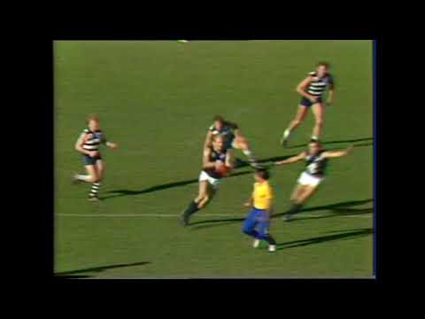1984 Round 13 Carlton Highlights - Carlton vs Geelong