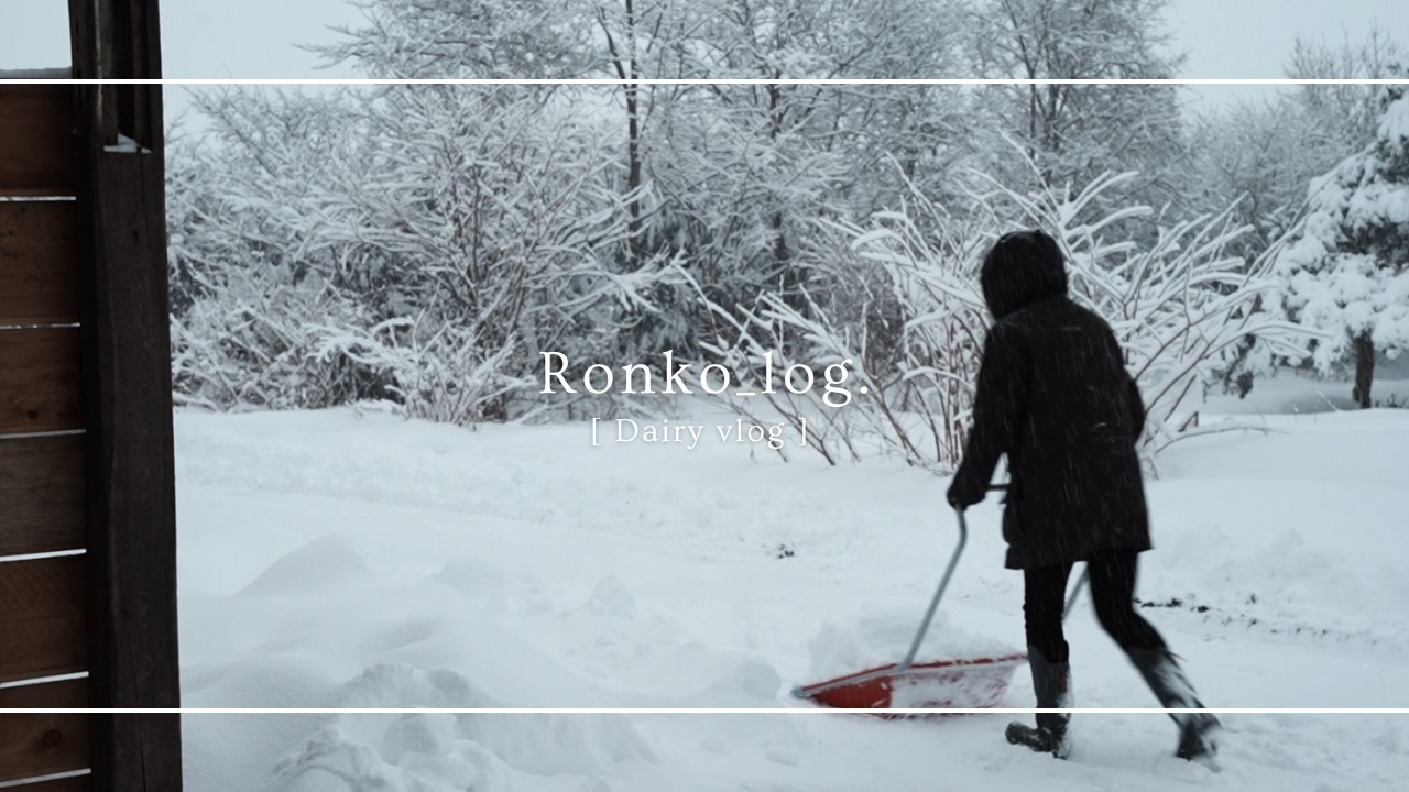 [ 日常vlog ] 積雪70cm❄︎大雪の日に働く道民の日常 | バレンタインデー | 北海道田舎暮らし