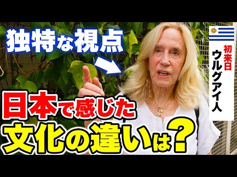 国際教養学科 外国人に日本の印象やカルチャーショックを聞いてみた！｜外国人観光客にインタビュー