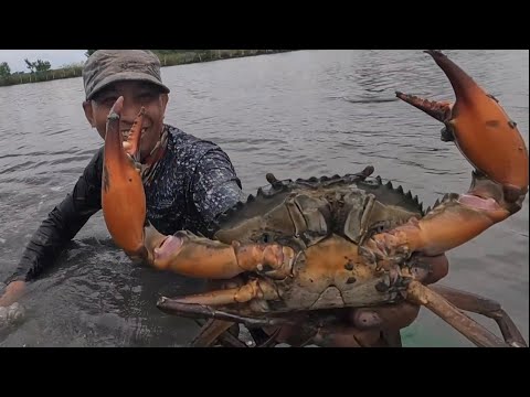 EP759-P2 - Pangangapa ng Sugpo at Alimango sa Palaisdaan | Occ. Mindoro