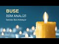 BUSE İsminin Anlamı ve Analizi / İsminiz Sizi Anlatıyor