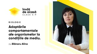 "Adaptările comportamentale ale organismelor la condițiile de mediu"