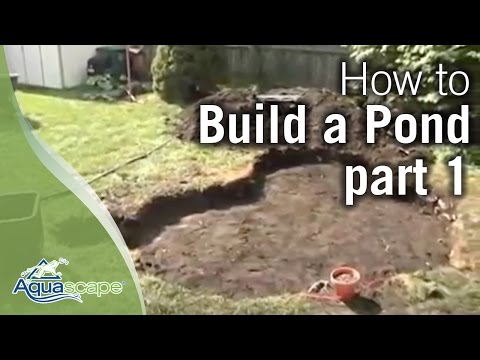 How to Build a Pond Part 1