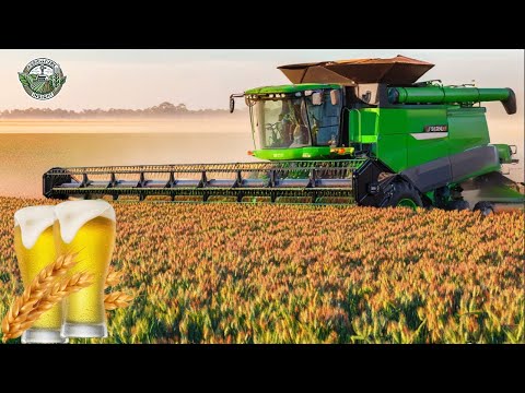8.1 Billion Pounds Of Barley Are Harvested To Make Craft Beer This Way | Agriculture Technology