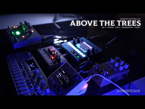 Above the Trees - Ambient Soundscape (OP-1, Norns, NTS-1, Microcosm, Habit)