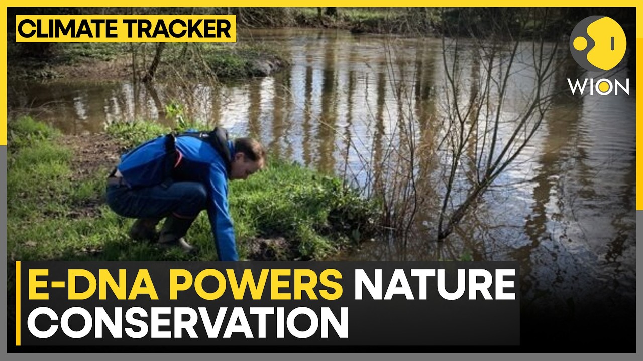 E-DNA Helps Scientists Protect Ecosystems Before Damage Spreads | WION