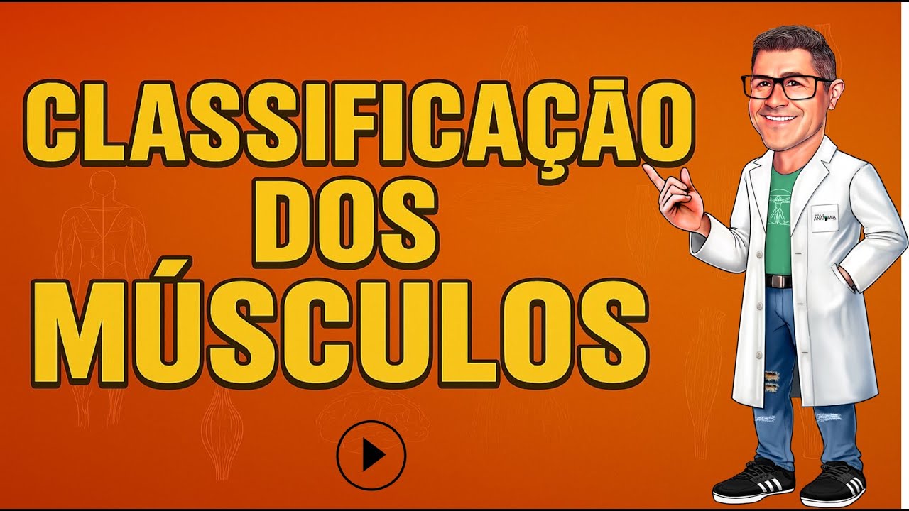 CLASSIFICAÇÃO DOS MÚSCULOS #fisioterapia #medicina #anatomy #anatomia #trauma #quiropraxia