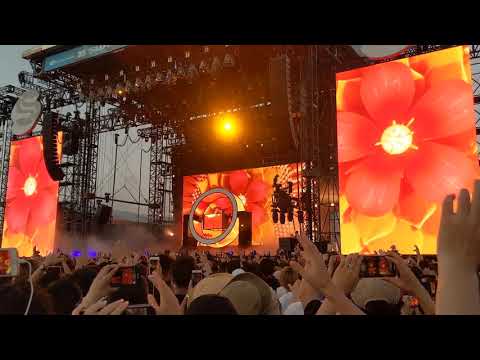 ZEDD The Middle Summer Sonic 2019 Osaka Japan 2019/8/17