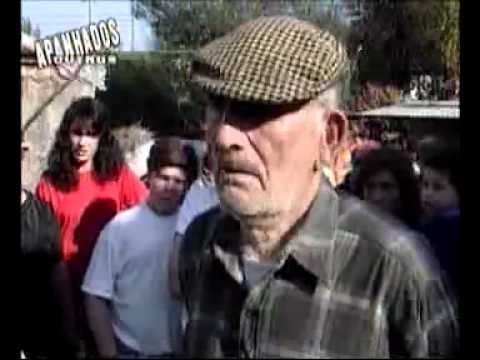 Apanhados da TV - Para mijar de rir!