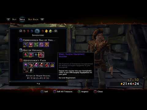 Neverwinter Quests and Co-op Chaos