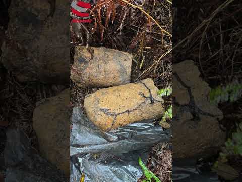 Ejército desactiva seis 3xpl0s1v0s del ELN en zona rural de El Tarra