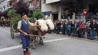 preview picture of video 'La Cargueña. San Xuan 2013 Mieres (Asturias) 4ª Parte'