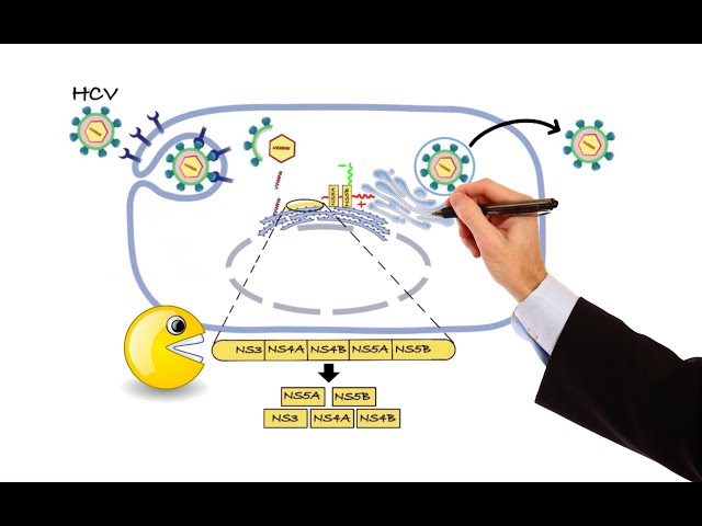 Video Pronunciation of protease inhibitors in English