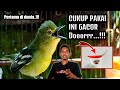 TRIK PALING DI CARI DI DUNIA ️GACORKAN SIRTU CIPOH DENGAN CABE