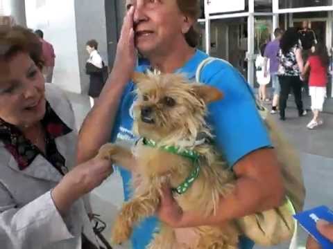 Gente sorprendida al conocer a Paquita la perrita que adopto la Reina Sofia