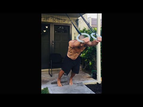 Day 216 FitPro Hawaii Workout - Ring Push Ups and Pull Ups - December 16, 2020 4:50 pm