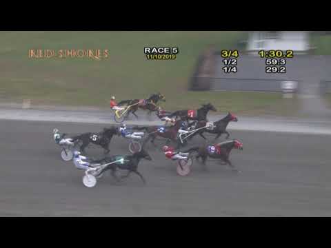 CDP 2019 November 10 R05