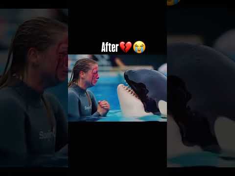 jessica orca before & after 🥺#jessica #orca #dolphinattack #dolphin #trending #short #shorts #new