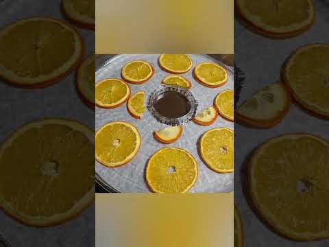 園芸 ドライフルーツ