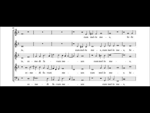 Orlandus Lassus - Veni in hortum meum