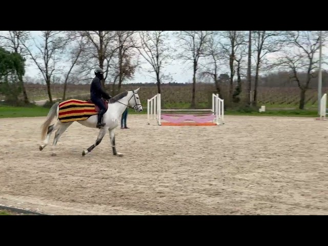  A VENDRE JUMENT 6 ANS 