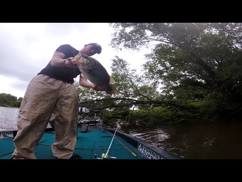 GoPro: Cody Buckhardt - Best Catch 7.15.15 - Fish