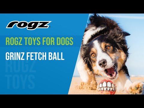 Rogz Grinz skanėstų kamuoliukas šunims žalias 49mm