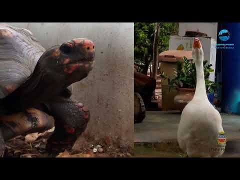 Porto Ferreira - Institucional - Desenvolvimento Econômico e Turismo