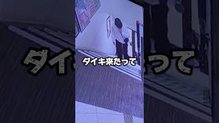 どうやったらこんな口悪くなれるん？　　　　#ダイキ様 #きいろ #借金2000万 #ポケモンカード #ポケカ #ポケモン #pokemon