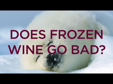 download lagu mp3 mp4 Can You Drink Frozen Wine, download lagu Can You Drink Frozen Wine gratis, unduh video klip Can You Drink Frozen Wine