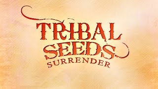 NEW: Tribal Seeds - Surrender (2016 Single)