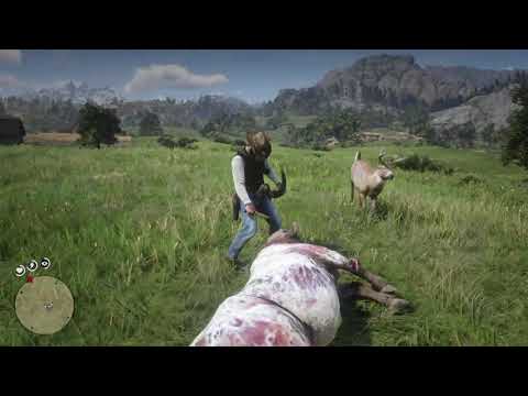Arthur visits John as a buck :)